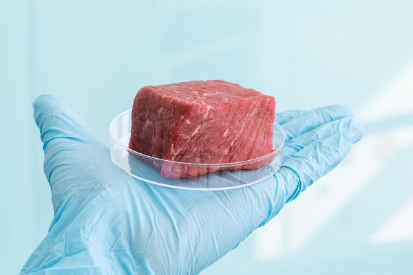 Lab-Grown Meat: What You Need To Know