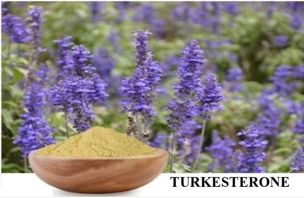 TURKESTERONE: THE NATURAL MUSCLE BUILDER